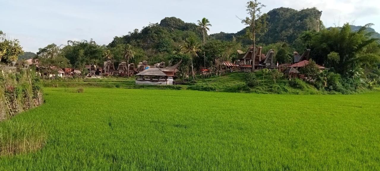 Toraja Bungin Homestay Rantepao Exterior foto